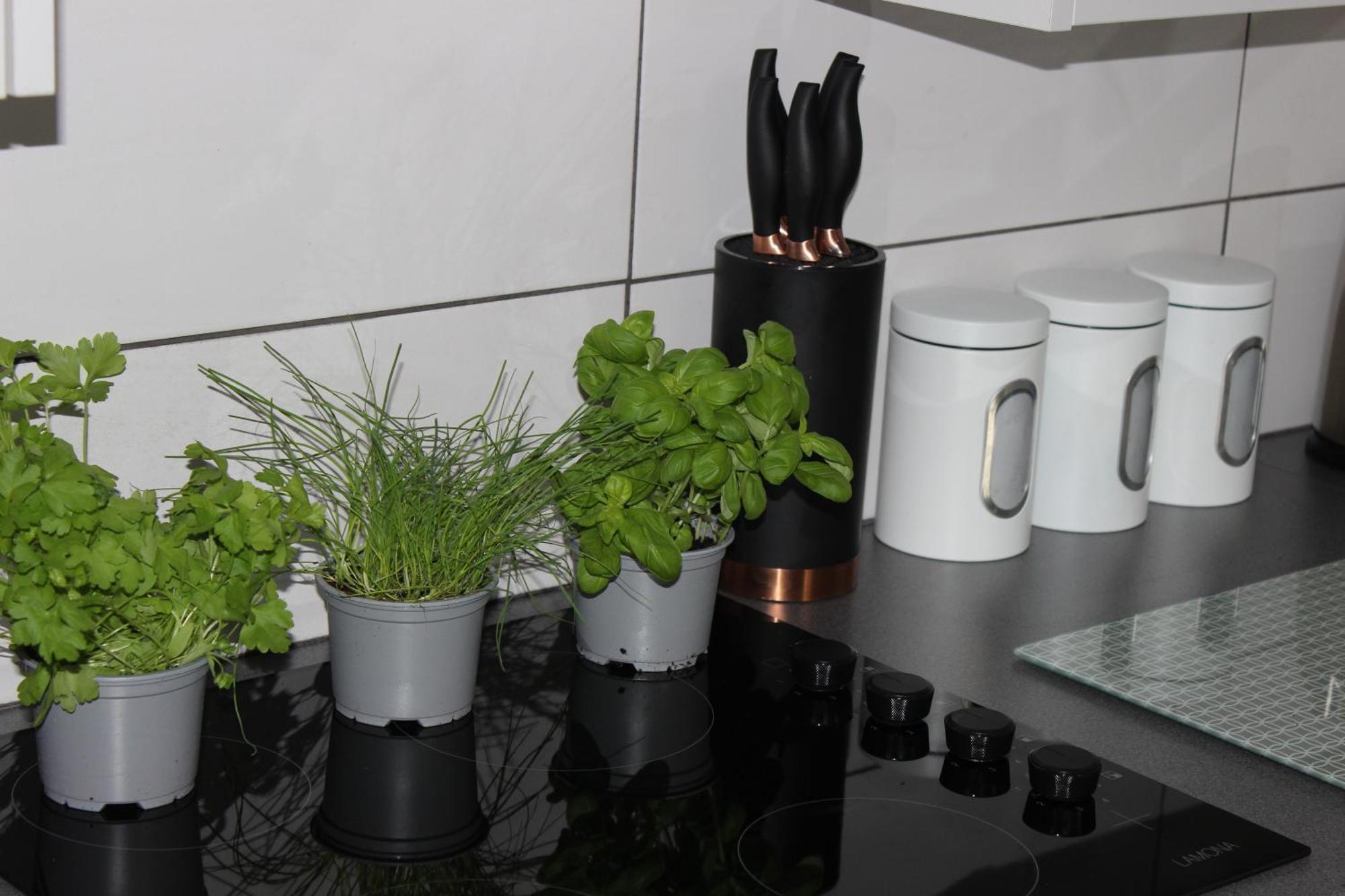 Appartement Oliver Wests Beautiful 1 Bedroom Retreat
